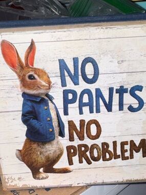 No Pants! No ProblemBunny! From Peter Rabbit Movie  6 inch x 6 inch